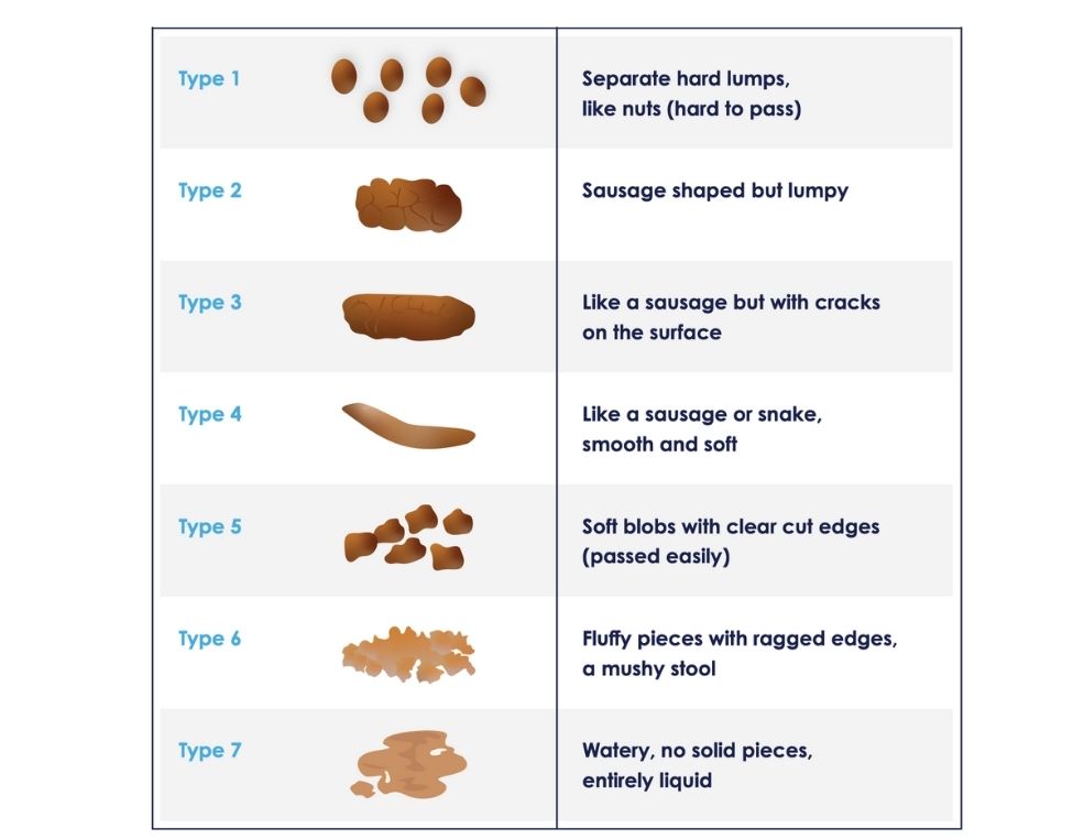 Stool chart